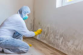 Mold Odor Removal Services in Gretna, LA