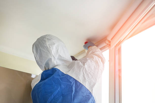 Best Residential Mold Inspection & Testing  in Gretna, LA