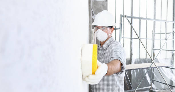 Asbestos and Lead Testing During Mold Inspection