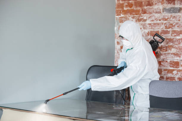 Mold Removal for HVAC Installations in Gretna, LA