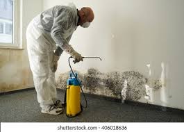 Why You Should Choose Our Mold Remediation Services in Gretna, LA